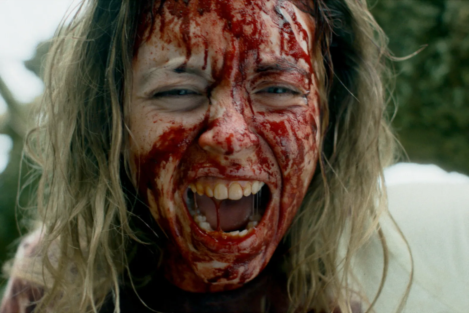 Immaculate - Slash Horror